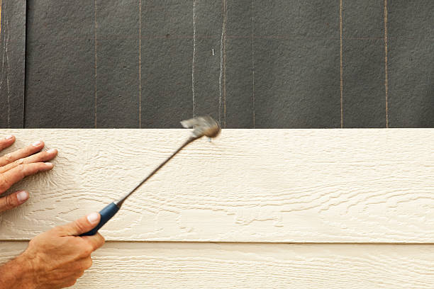 Best Steel Siding Installation  in New Carlisle, IN
